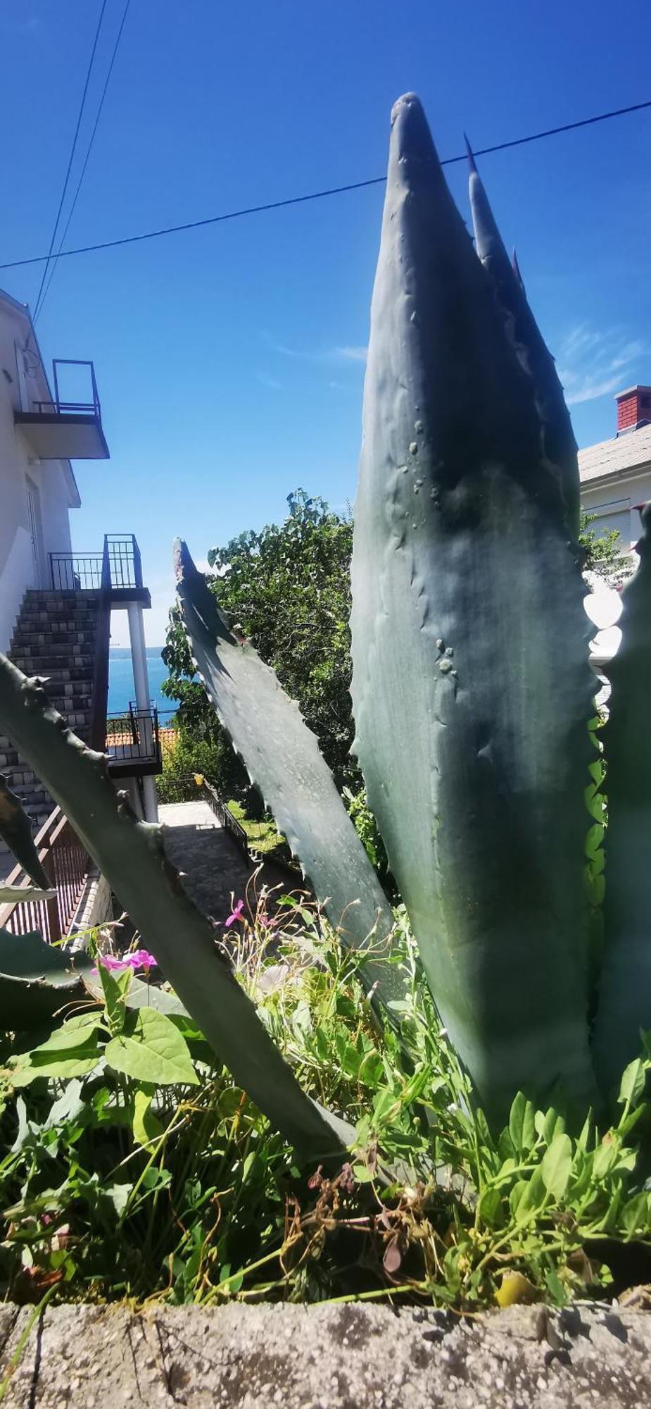 Apartment Eden Crikvenica Zewnętrze zdjęcie